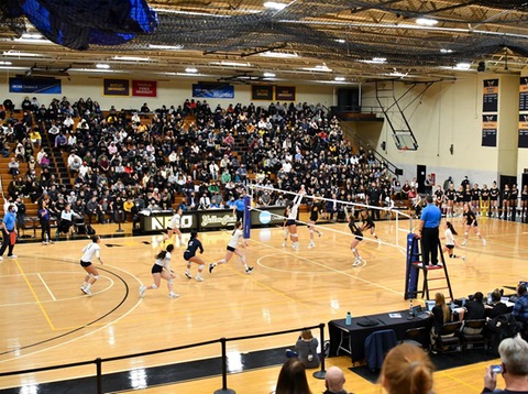 photo from 2021 NCAA Women's Volleyball Tournament