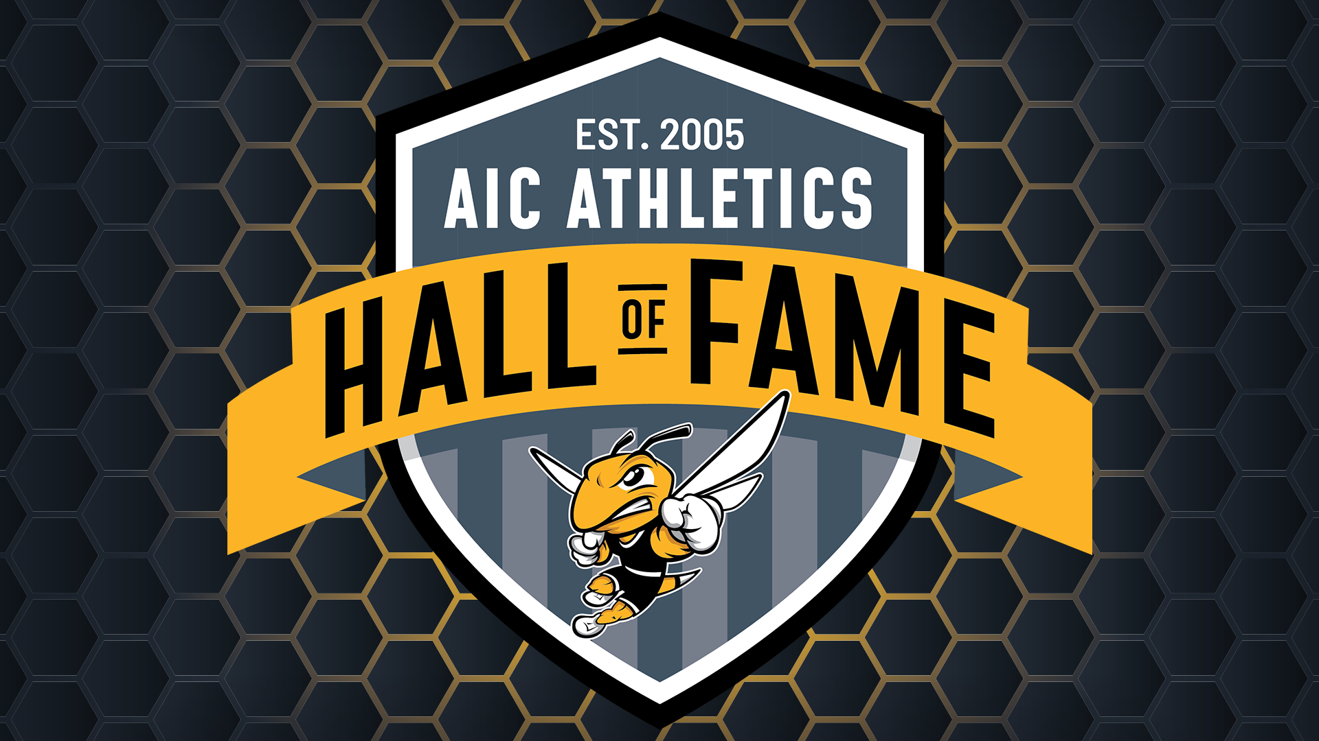 Chapin announces 2024 AIC Athletics Hall of Fame Class