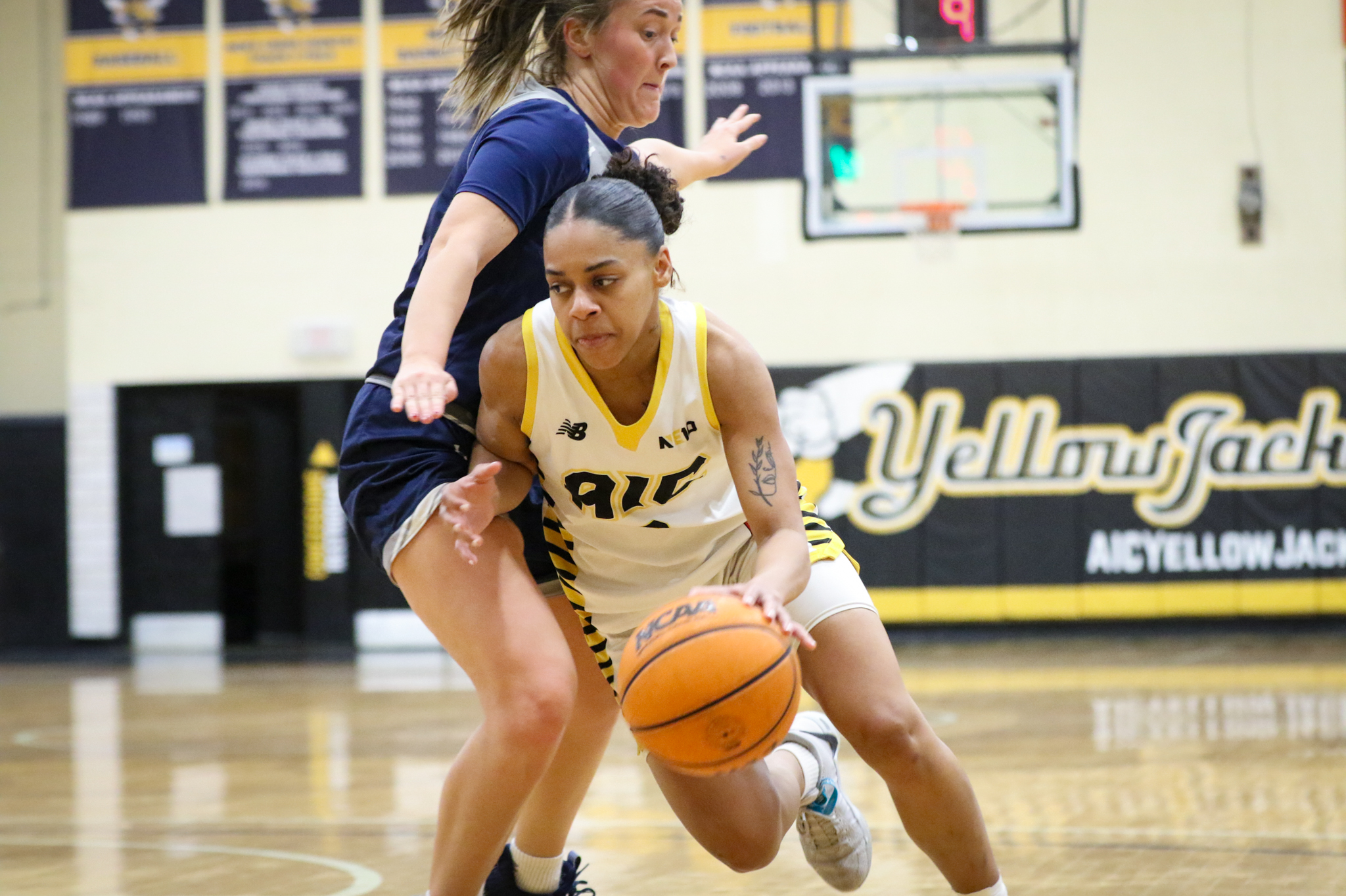 Women's Basketball advances in NE10 Tournament with victory against Saint Anselm