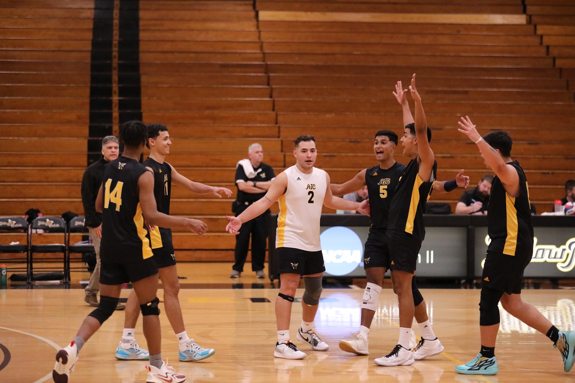 Men's Volleyball opens 2024 campaign with instant classic win over Regis