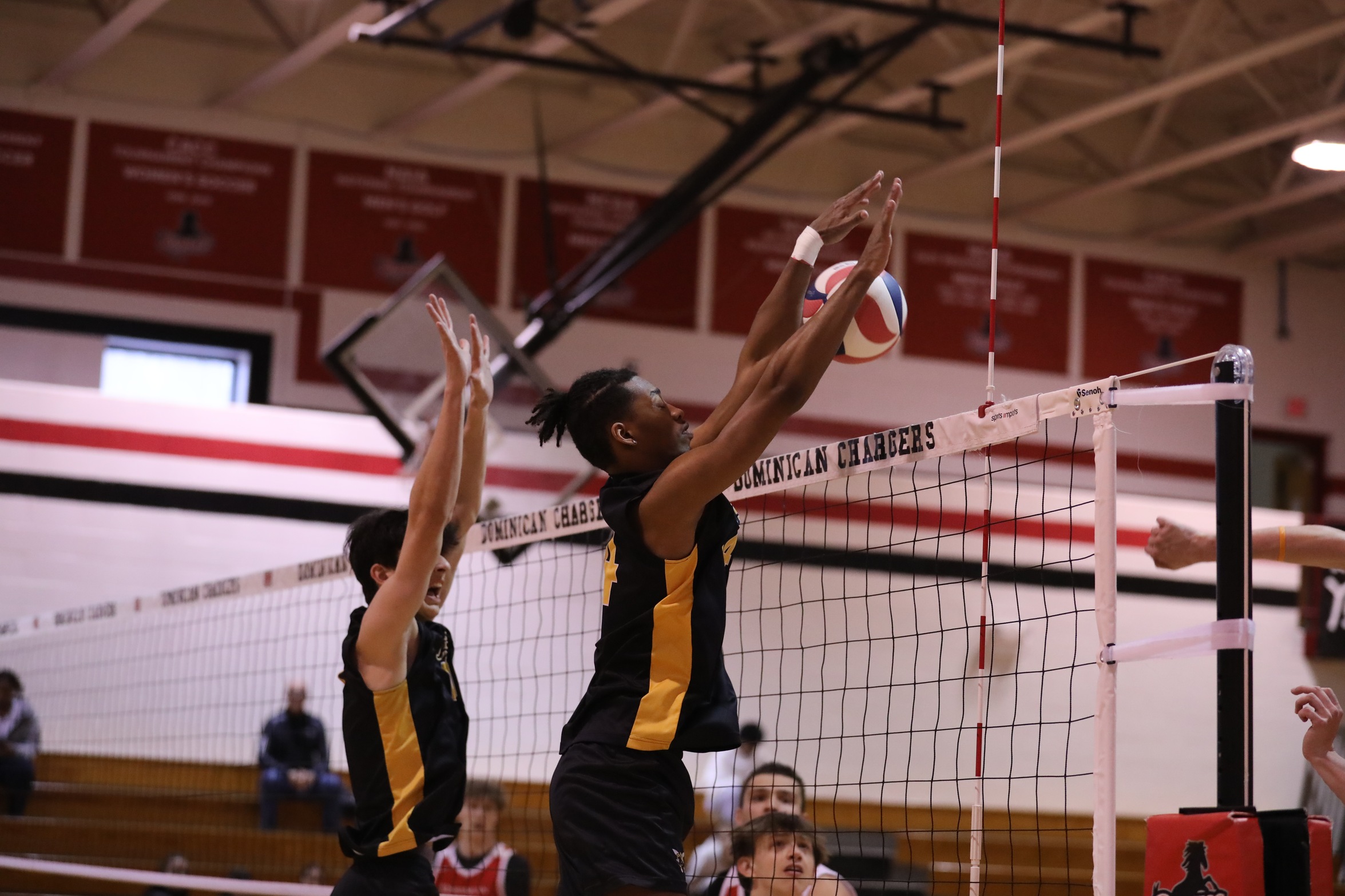 Men's Volleyball falls at Dominican, MIT