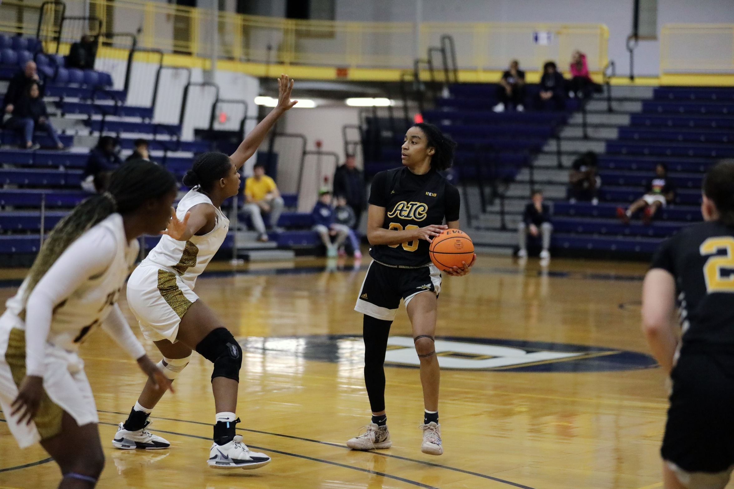 Women's Basketball cleans up on glass to beat D'Youville in season opener