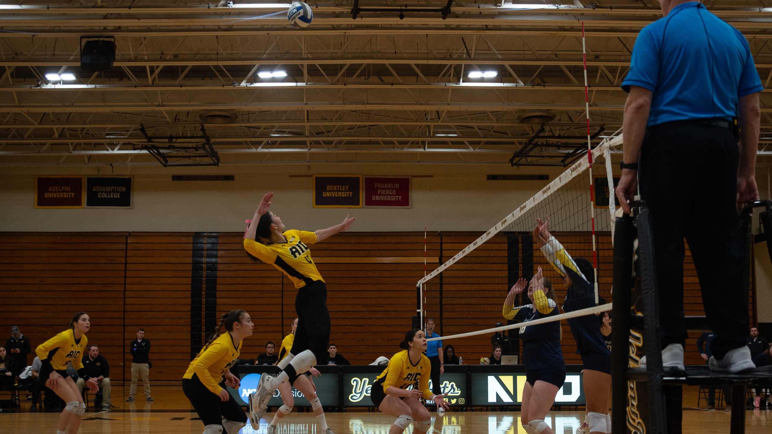 Women's Volleyball upended by Penmen in NE10 Quarterfinal