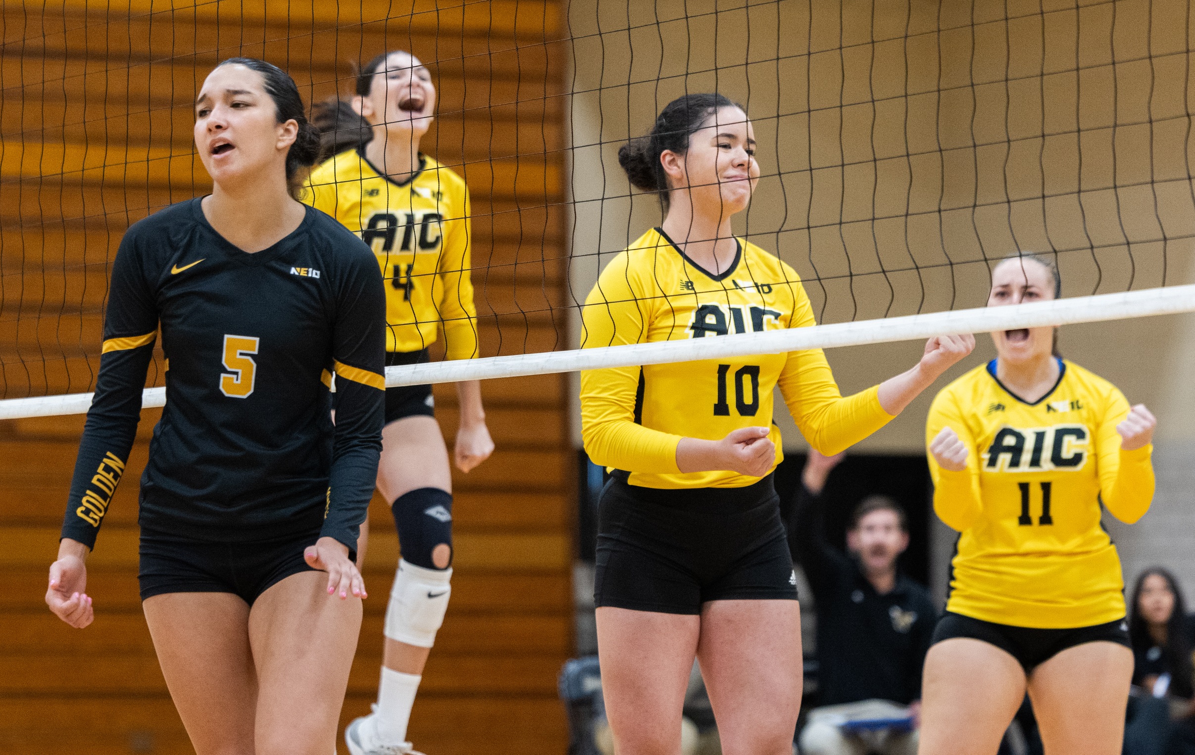 Five from Women's Volleyball earn NE10 All-Conference honors